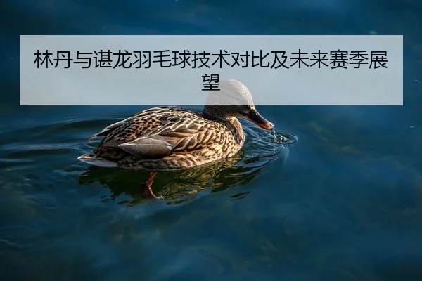 林丹与谌龙羽毛球技术对比及未来赛季展望